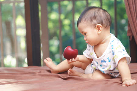 9 months Asian baby eating an appleの写真素材