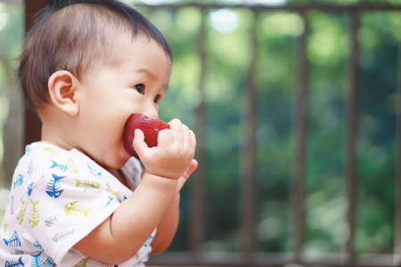 9 months Asian baby eating an appleの写真素材