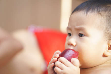 9 months Asian baby eating an appleの写真素材