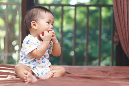 9 months Asian baby eating an appleの写真素材