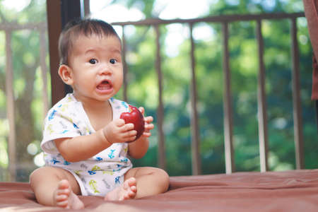 9 months Asian baby eating an appleの写真素材