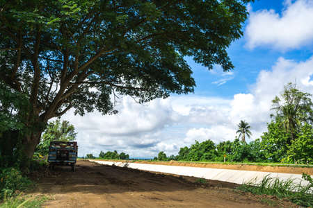 Big tree on dirt road under blue skyの写真素材