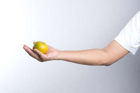 Hand holding tangerine orange fruit on white backgroundの写真素材