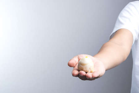 Hand holding Chinese pastry moon cake on white backgroundの写真素材
