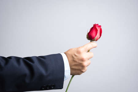 Business man hand with red rose flower on white backgroundの写真素材