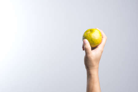Hand holding tangerine orange fruit on white backgroundの写真素材