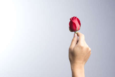 A man hand with red rose flower on white background