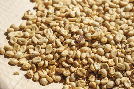 First processing of vintage coffee bean by using mortar and pestleの写真素材