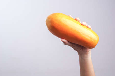 Hand holding ripe papaya on white backgroundの写真素材