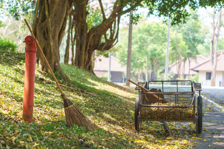 Broom and cart for cleaning leaves on the ground in the University of Thailandの写真素材