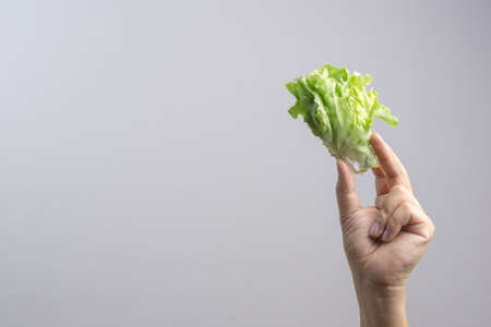Hand holding vegetable hydroponics veget salad roll with crab stick on white background