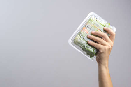 Hand holding box of  vegetable Hydroponics Veget Salad Roll with crab stick on white backgroundの写真素材