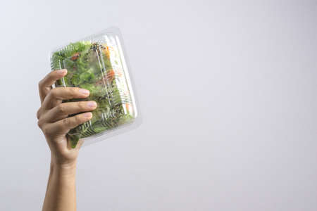 Hand holding box of  vegetable Hydroponics Veget Salad Roll with crab stick on white background