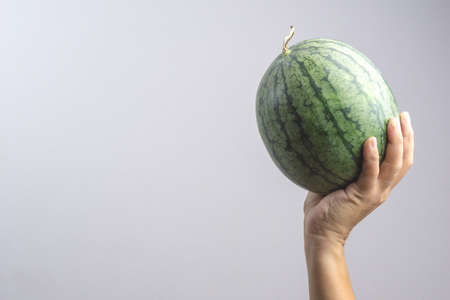 Hand holding watermelon on white backgroundの写真素材