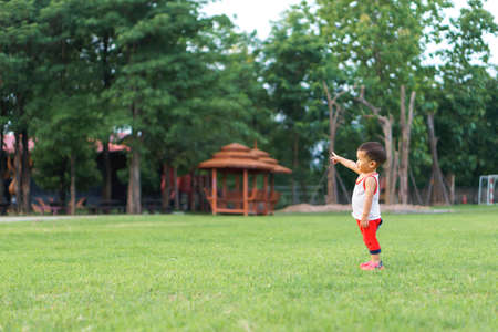 Asian boy about 1 year and 4 months learning to walk and fall on his ownの写真素材