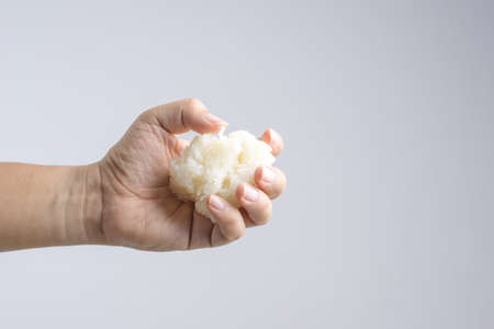 Hands holding cooked sticky rice as the original way to eat Thai food on white backgroundの写真素材