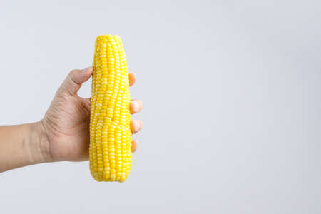 Hand holding boiled sweet corn on white backgroundの写真素材