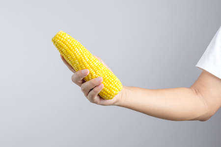 Hand holding boiled sweet corn on white backgroundの写真素材