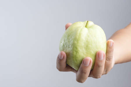 Hand holding organic guava on white backgroundのeditorial素材