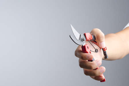 Hand holding pruning shears or secateurs for cutting tree branch on white backgroundの写真素材