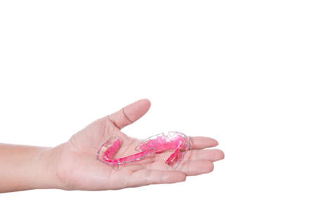 Hand holding acrylic dental retainer or braces for teeth with denture on white backgroundの写真素材