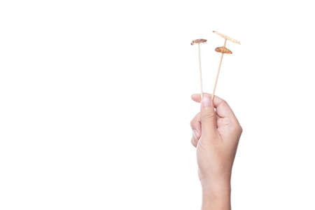 Hand holding stick of deep fried insects, bamboo caterpillar, cricket, silkworm larva, famous thai street food full of protein on white backgroundの写真素材