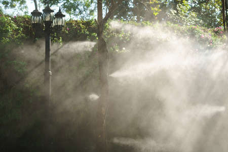 Fog water or mist spray nozzle setup on tree for watering plant at flower gardenの写真素材