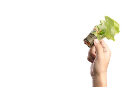 Hand holding hydroponics vegetable salad roll wrapped by seaweed on white background