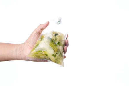 Hand holding Thai traditional pickled, cabbage preserve in plastic bag sealed with rubber band on white backgroundの写真素材