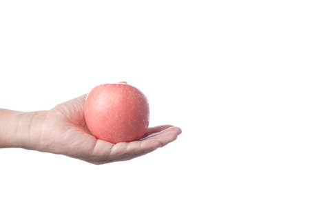 Hand holding fresh organic apple fruit on white backgroundの写真素材