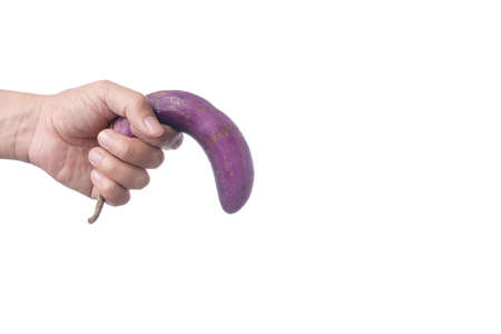 Hand holding old purple eggplant as a symbol of sexual dysfunction on white backgroundの写真素材