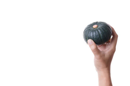 Hand holding small Japanese pumpkin or kabocha, winter squash on white backgroundの写真素材
