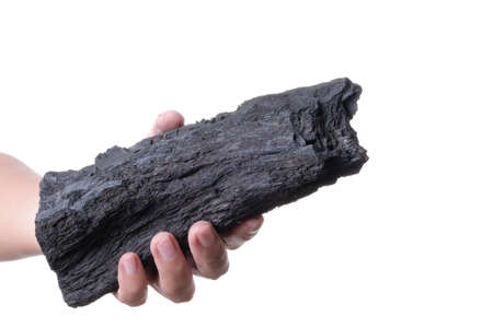 Hand holding natural black wood charcoal use for fuel or absorb bad smell on white background