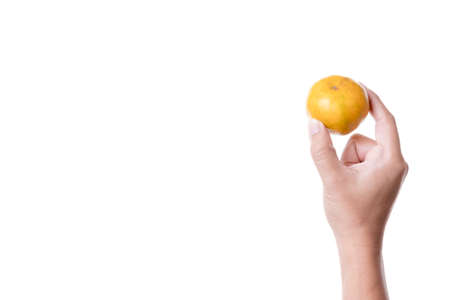 Hand holding Asian orange or citrus reticulata blancoの写真素材