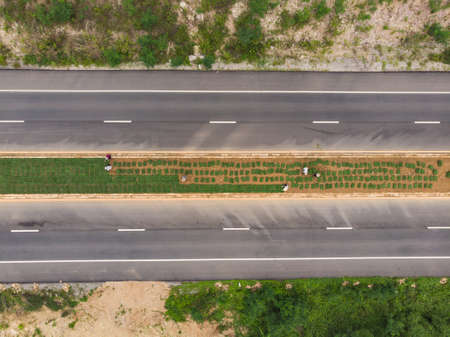 Asian worker labor planting grass on traffic island in asphalt roadの写真素材