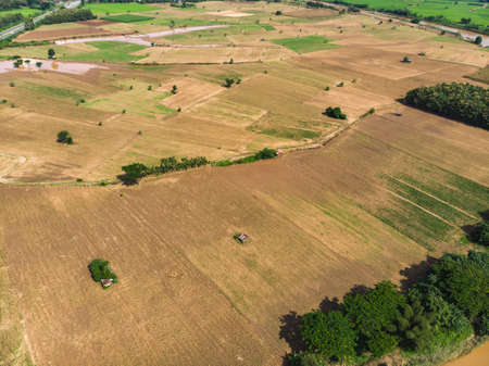 Empty crop field near rural village in Asian countryのeditorial素材