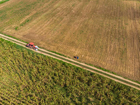 Tractor running through empty crop field and tree plantation in Asian countryのeditorial素材