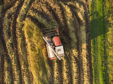 Modern harvesting machine at rice field in Asian countryの写真素材