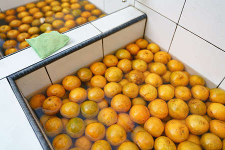 Washing oranges before eating with sponge for cleaning wax and stain