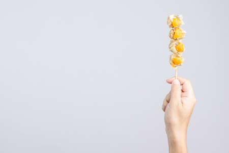 Hand holding pork dumpling stick with salty yolk egg on white background