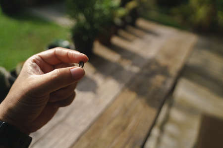 Hand holding coffee beans in various stage of roasting level from raw to dark typeの写真素材