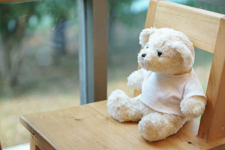 Cute small teddy bear with white shirt on wooden desk