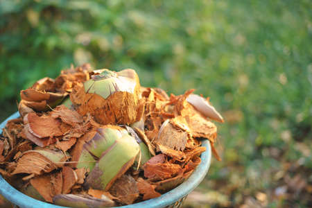 Fresh coconut shell remain in basketの写真素材