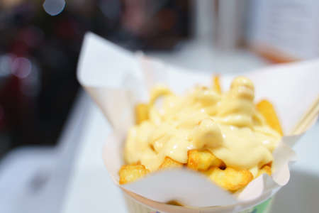 French fries with cheese sauce toppingの写真素材