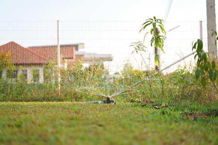 Modern rotating water sprinklers in glass lawns at home gardenの写真素材