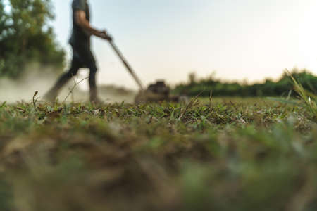 Man using lawn mower cutting grass at garden