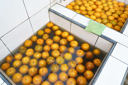 Washing oranges before eating with sponge for cleaning wax and stainの写真素材