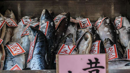 fish on iceのeditorial素材