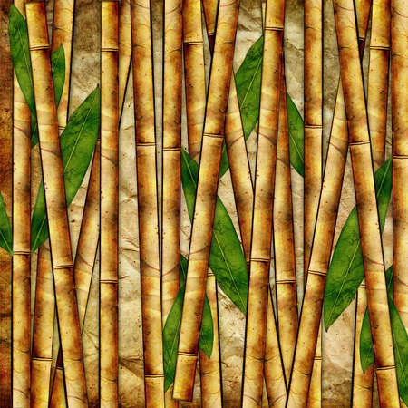 bamboo paperの写真素材