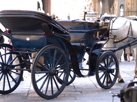 horse taxi
